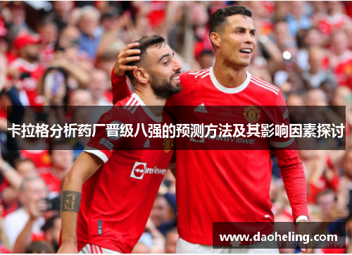 卡拉格分析药厂晋级八强的预测方法及其影响因素探讨