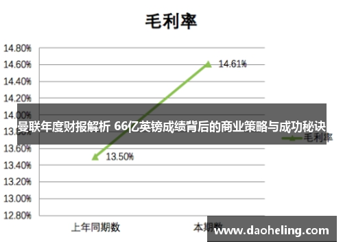 曼联年度财报解析 66亿英镑成绩背后的商业策略与成功秘诀