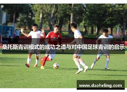 桑托斯青训模式的成功之道与对中国足球青训的启示