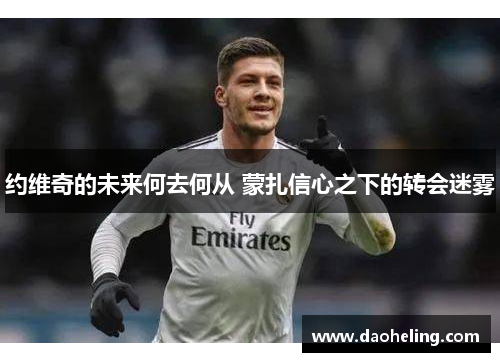 约维奇的未来何去何从 蒙扎信心之下的转会迷雾